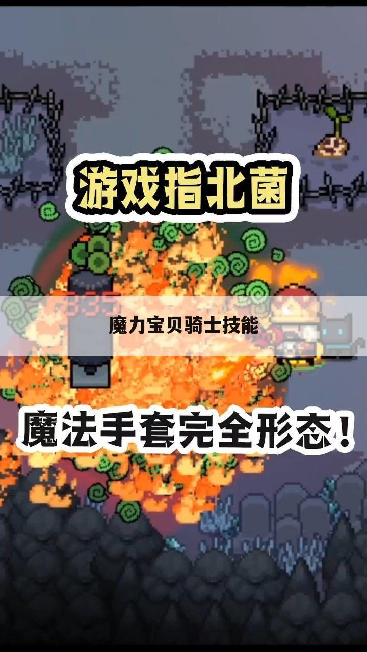 魔力宝贝骑士技能