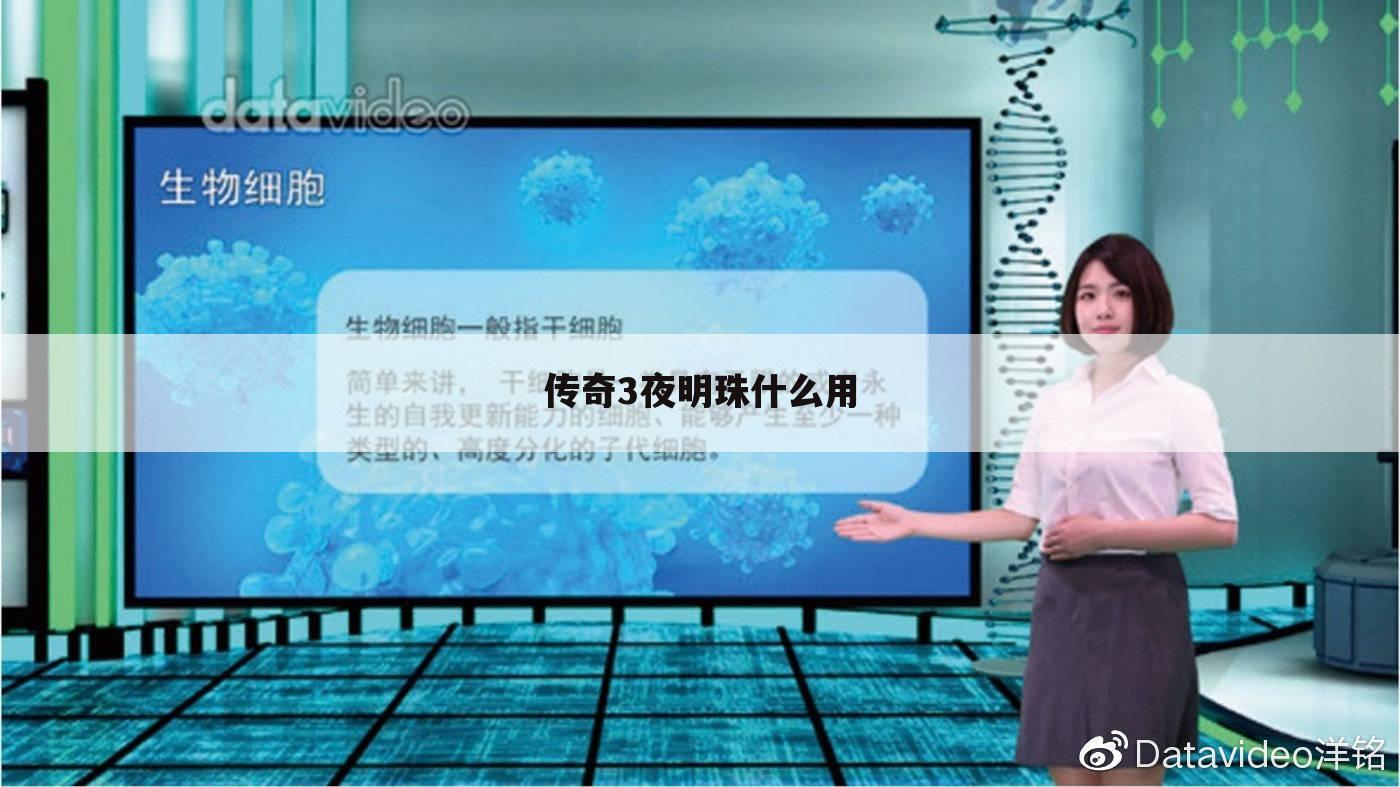 传奇3夜明珠什么用