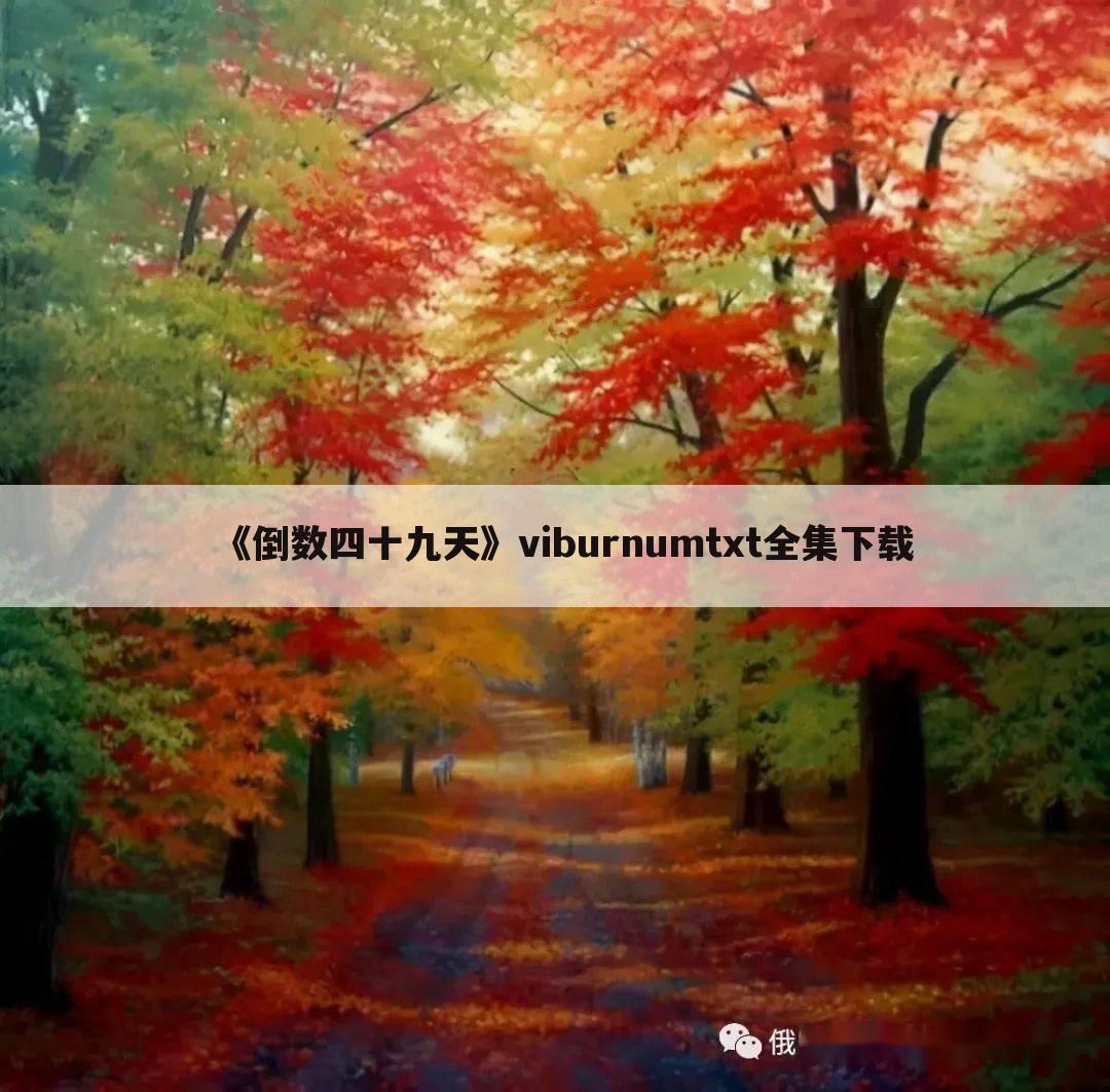 《倒数四十九天》viburnumtxt全集下载
