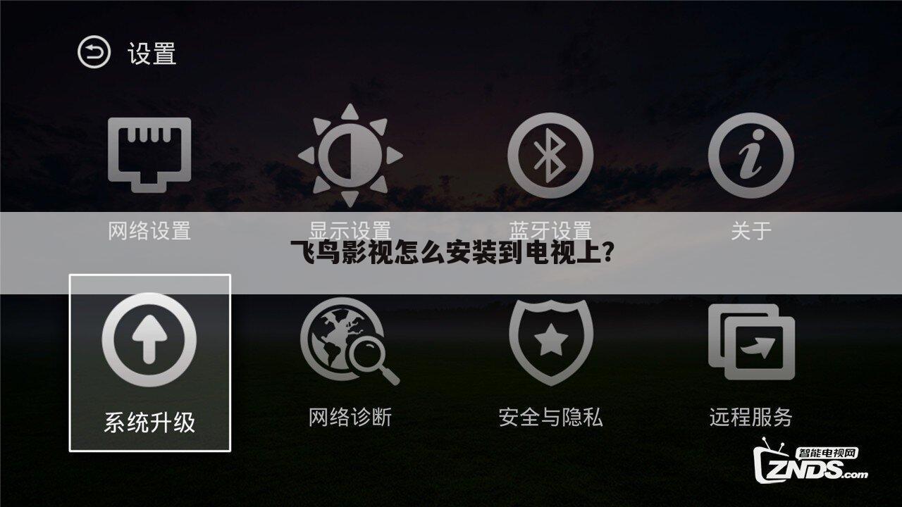飞鸟影视怎么安装到电视上?