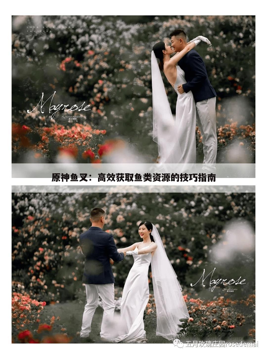 原神鱼叉：高效获取鱼类资源的技巧指南