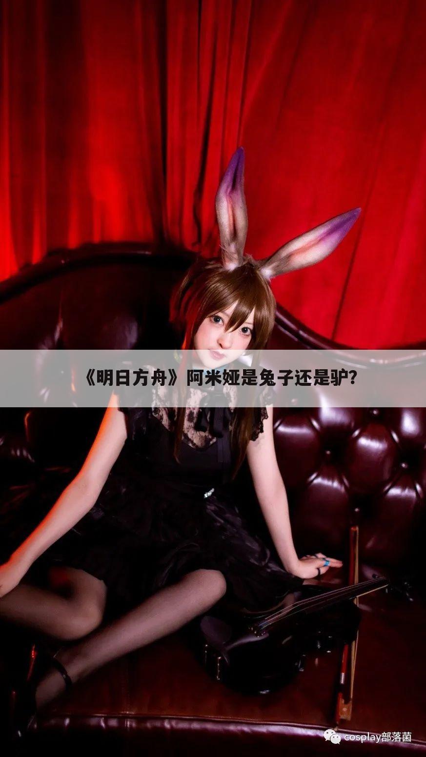 《明日方舟》阿米娅是兔子还是驴?