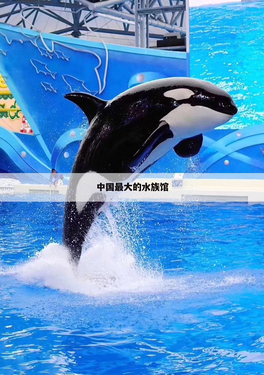 中国最大的水族馆