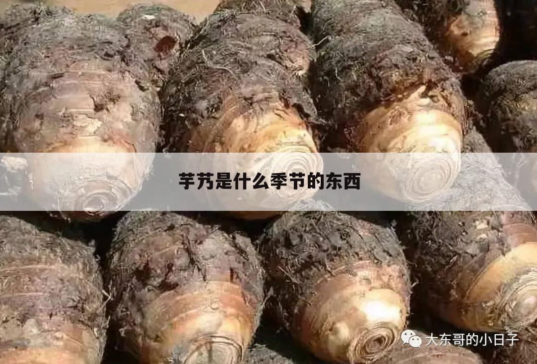 芋艿是什么季节的东西