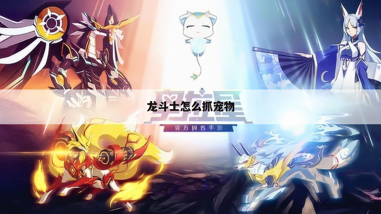 龙斗士怎么抓宠物