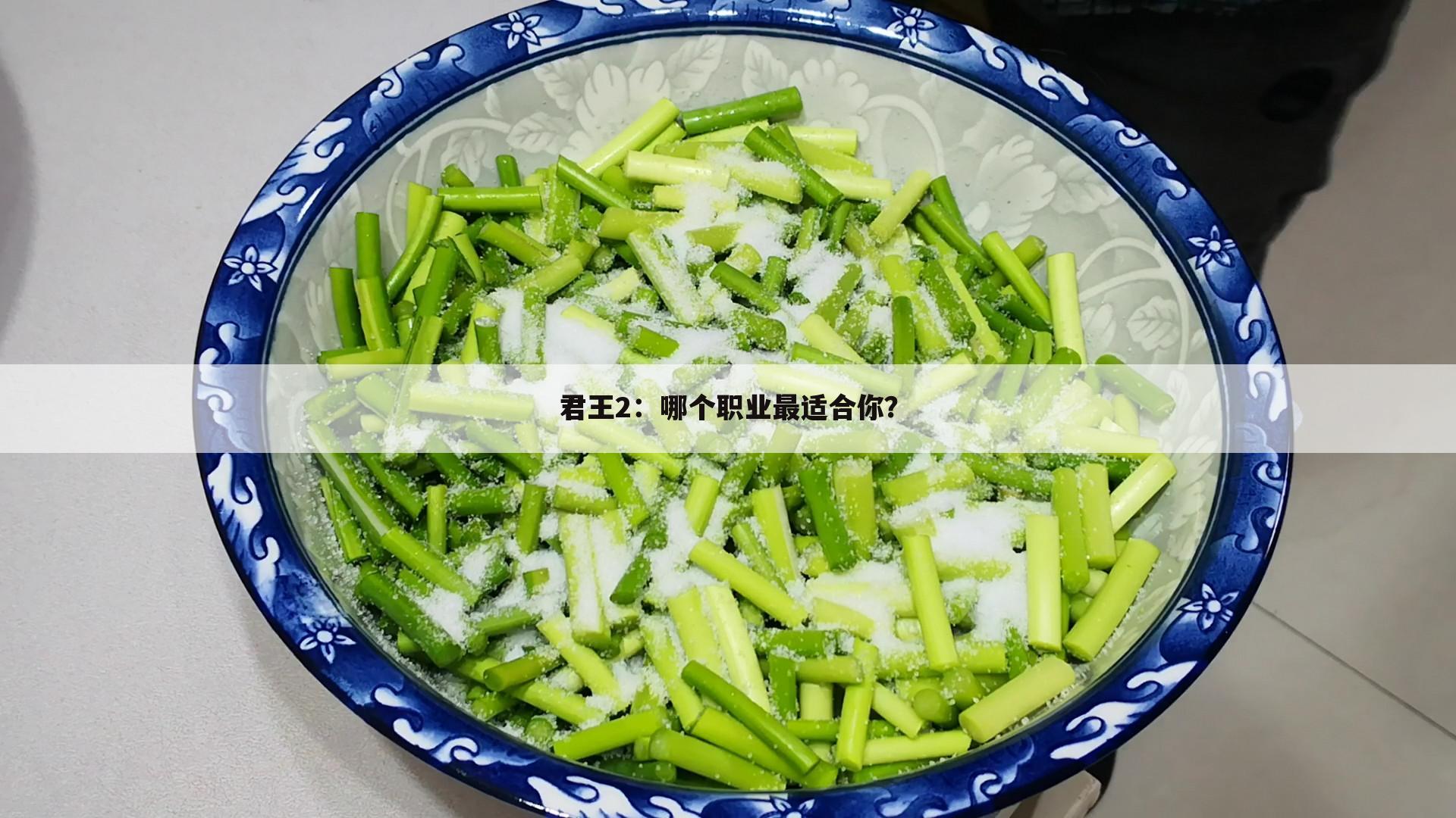 君王2：哪个职业最适合你？