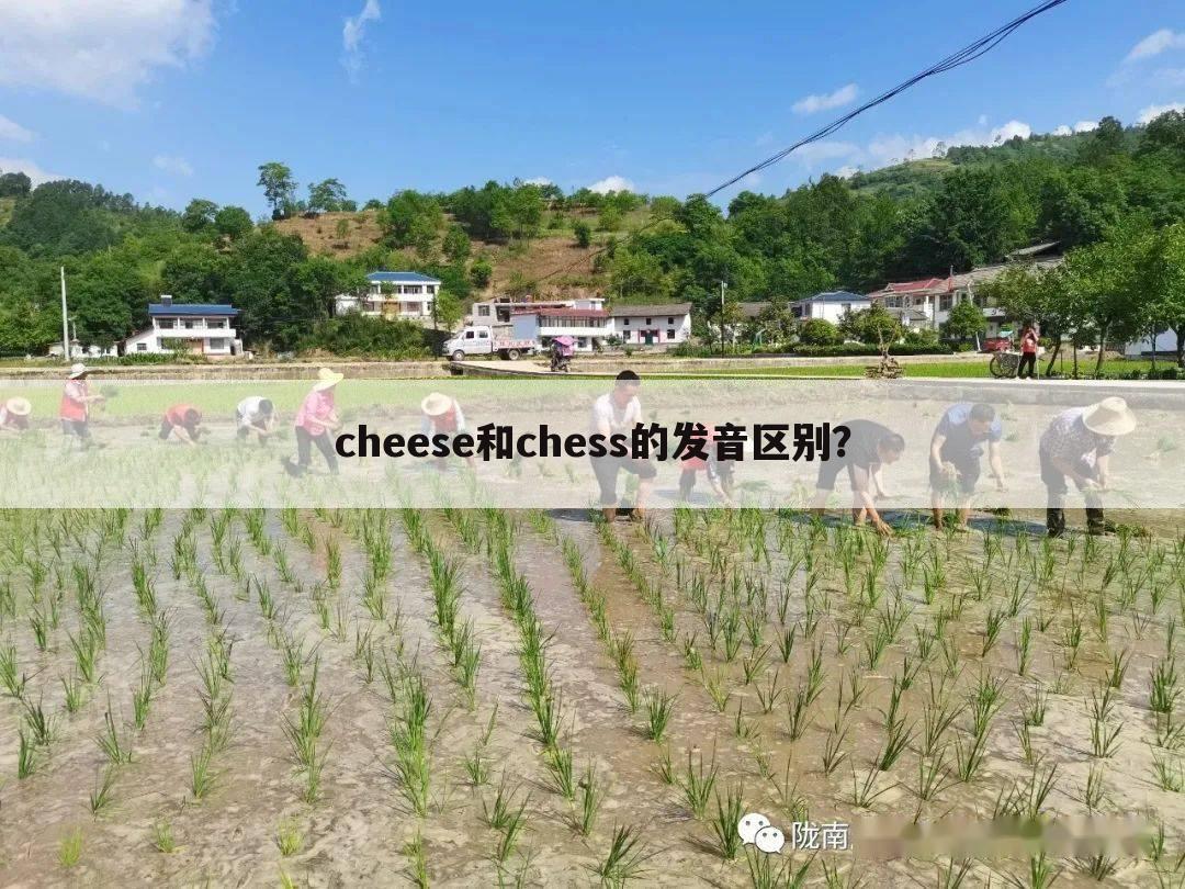 cheese和chess的发音区别?