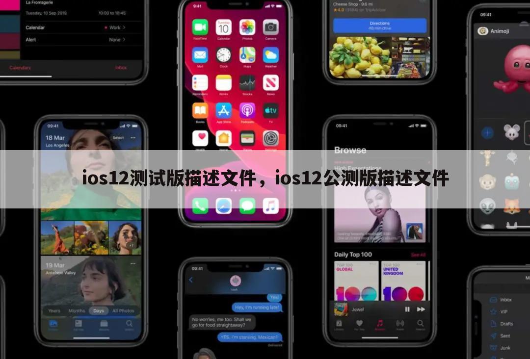 ios12测试版描述文件，ios12公测版描述文件