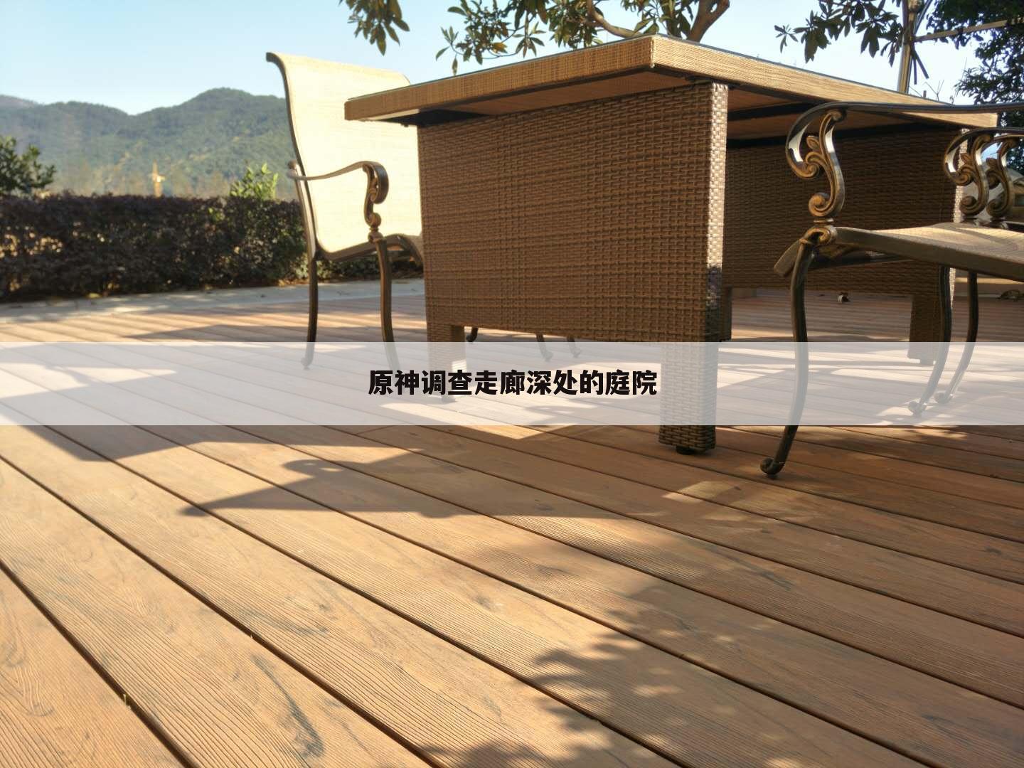 原神调查走廊深处的庭院