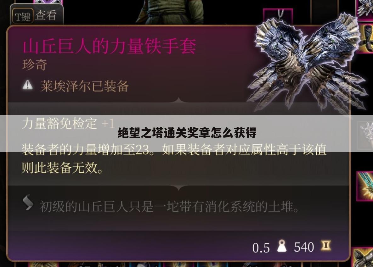 绝望之塔通关奖章怎么获得