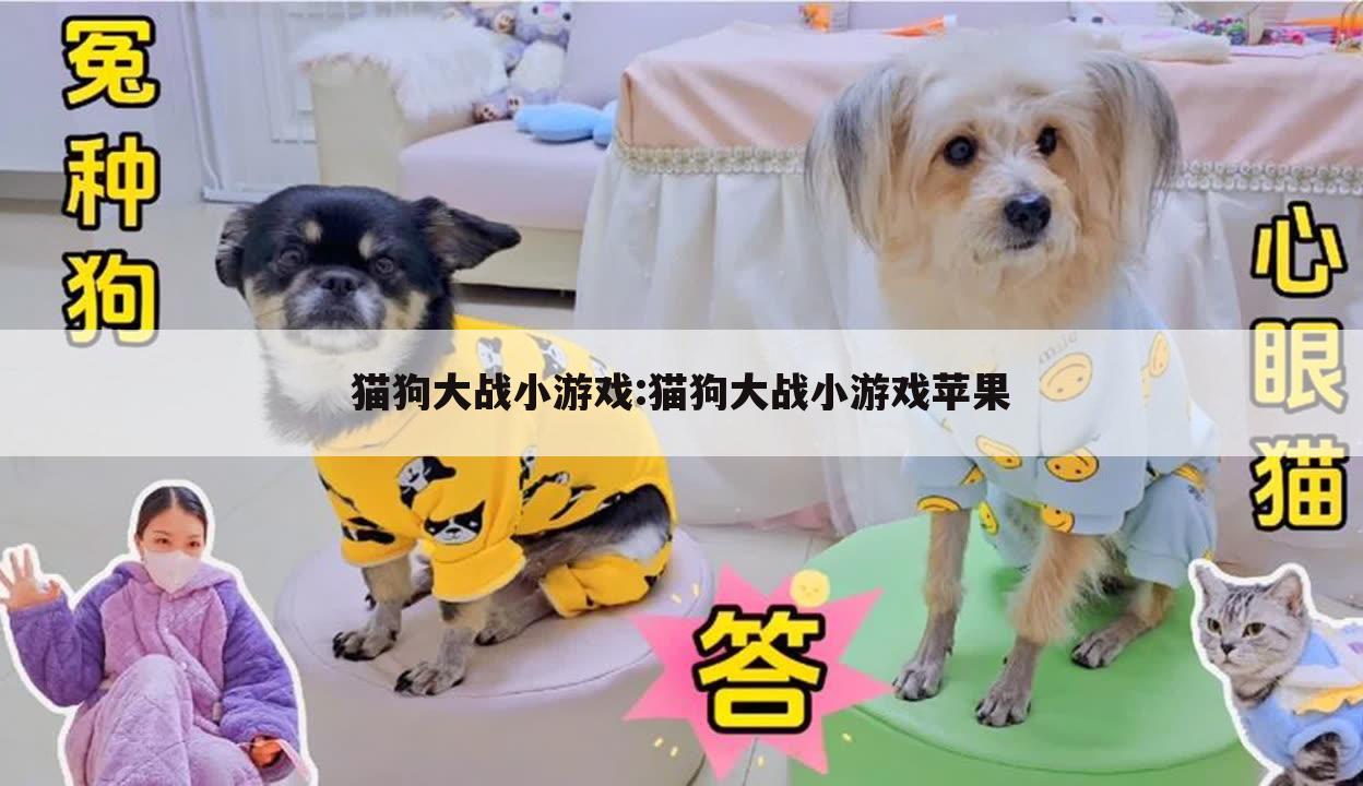 猫狗大战小游戏:猫狗大战小游戏苹果