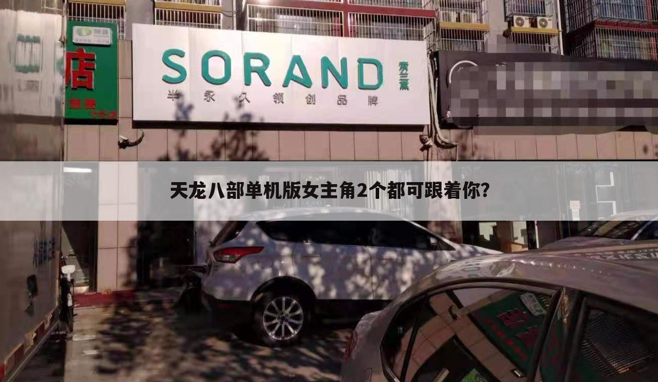 天龙八部单机版女主角2个都可跟着你?