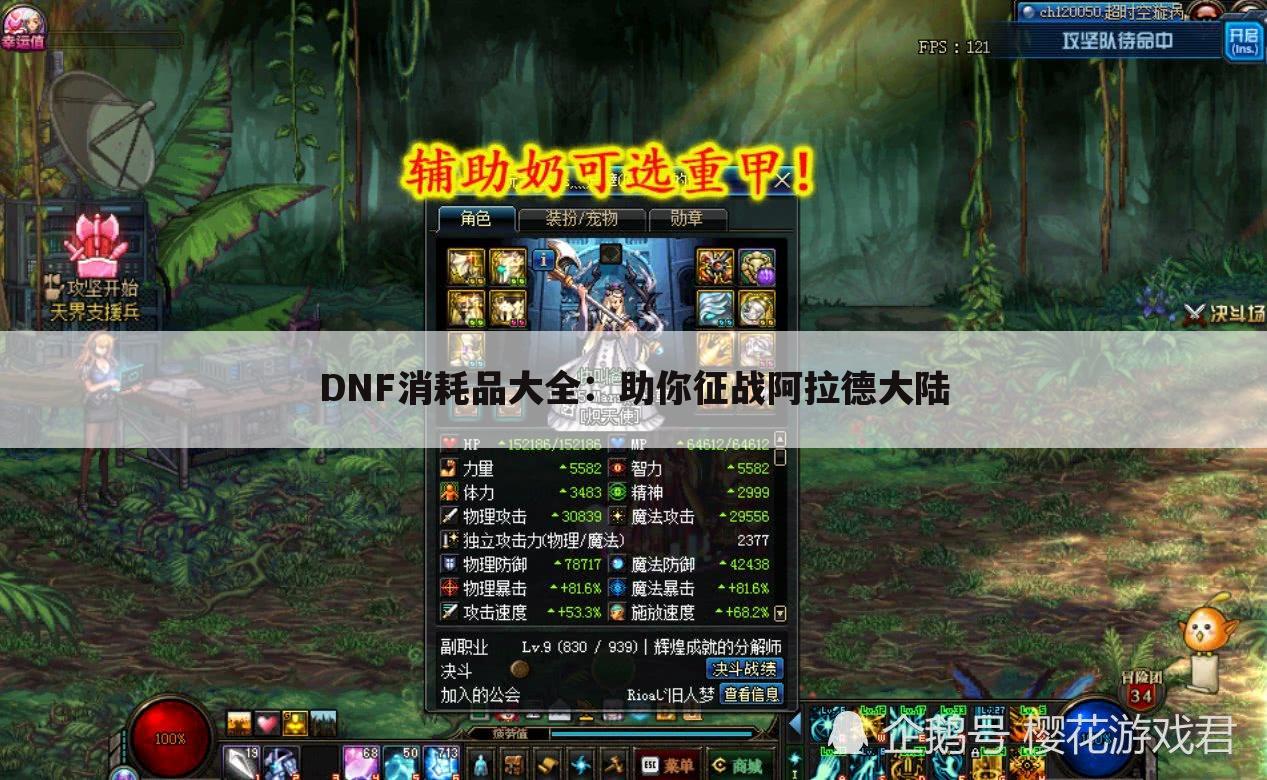 DNF消耗品大全：助你征战阿拉德大陆