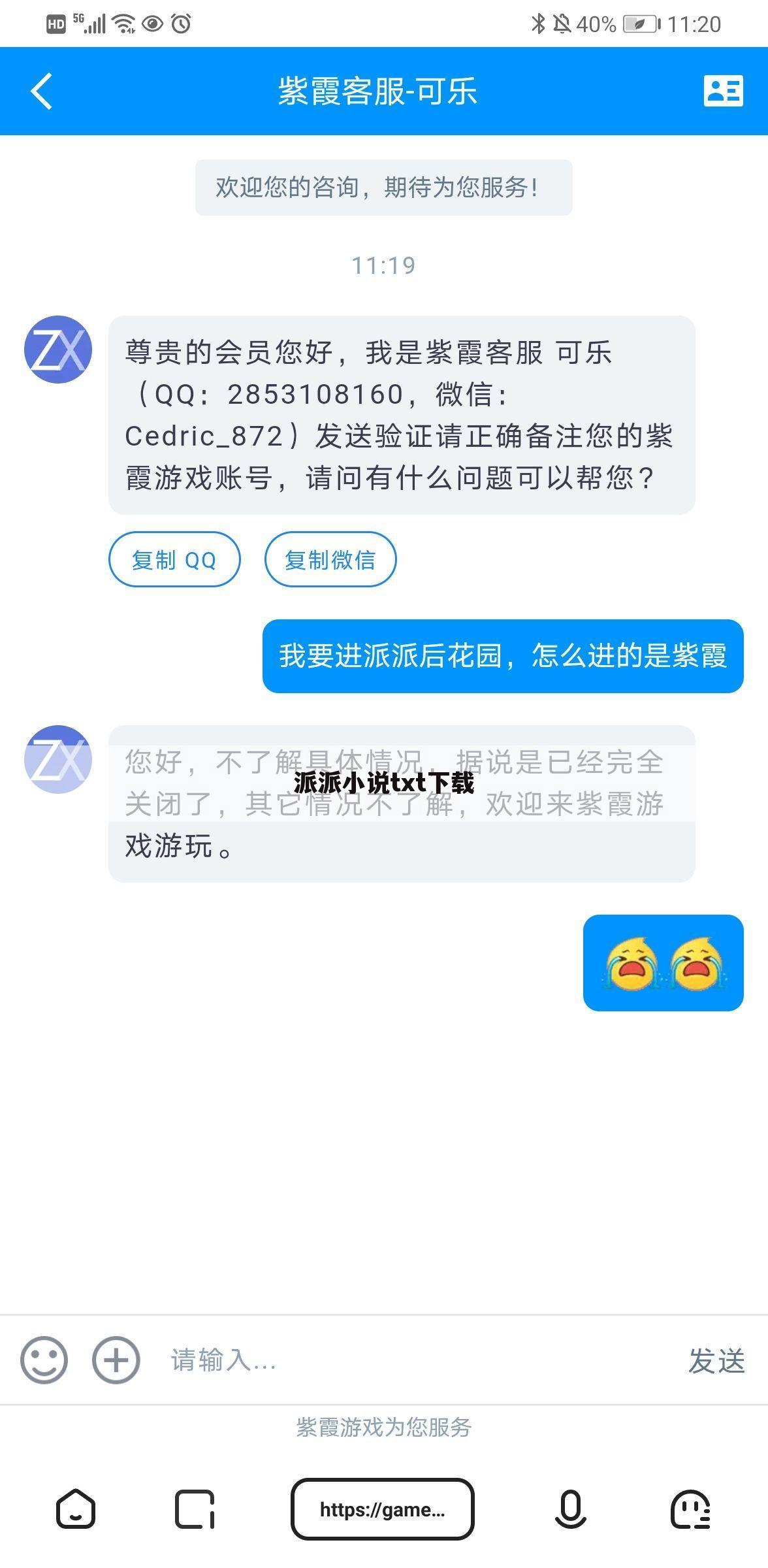 派派小说txt下载
