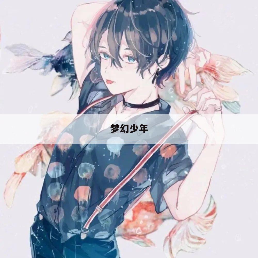 梦幻少年