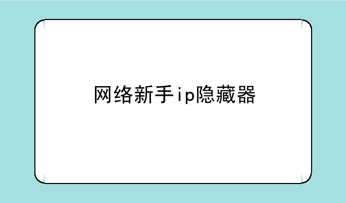 网络新手ip隐藏器