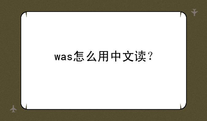 was怎么用中文读？