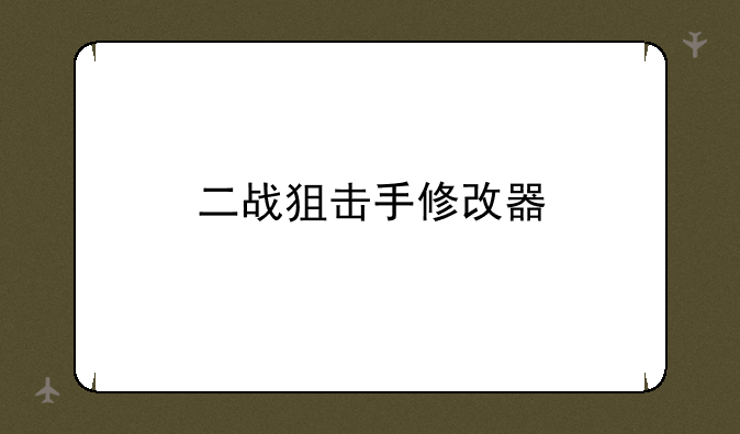 二战狙击手修改器