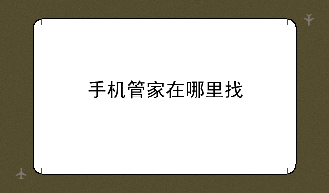 手机管家在哪里找