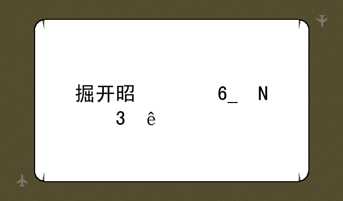 掘开是河南哪里人
