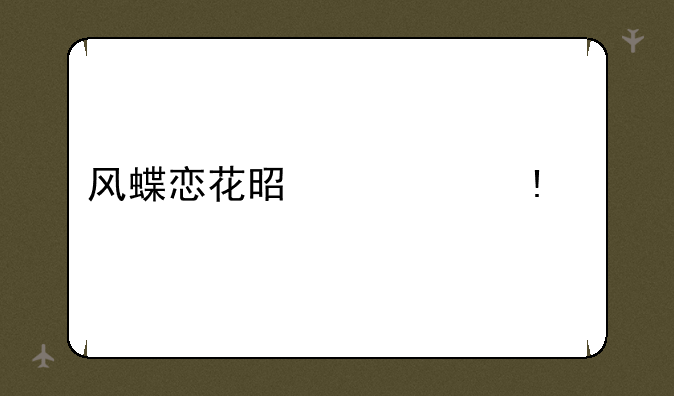 风蝶恋花是什么app