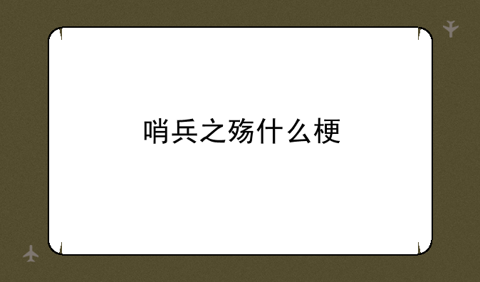 哨兵之殇什么梗