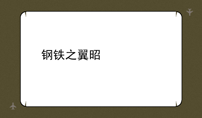 钢铁之翼是什么