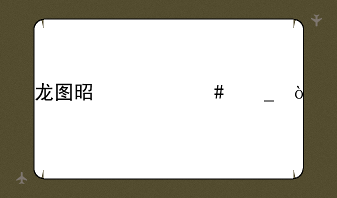 龙图是什么梗？