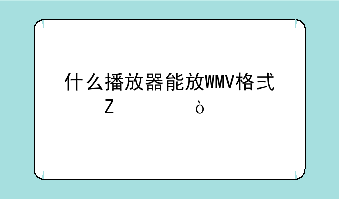 什么播放器能放WMV格式文件？
