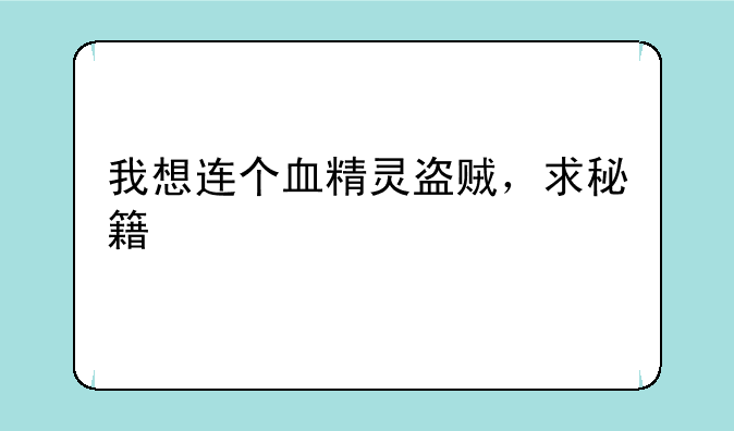 我想连个血精灵盗贼，求秘籍