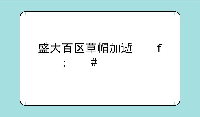 盛大百区草帽加速器怎么设置