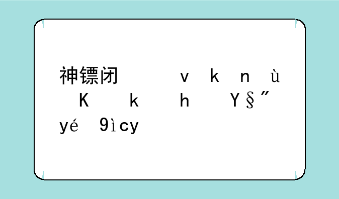 神镖闯江湖这个游戏有秘籍吗