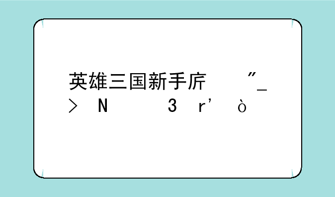 英雄三国新手序列号哪里有？