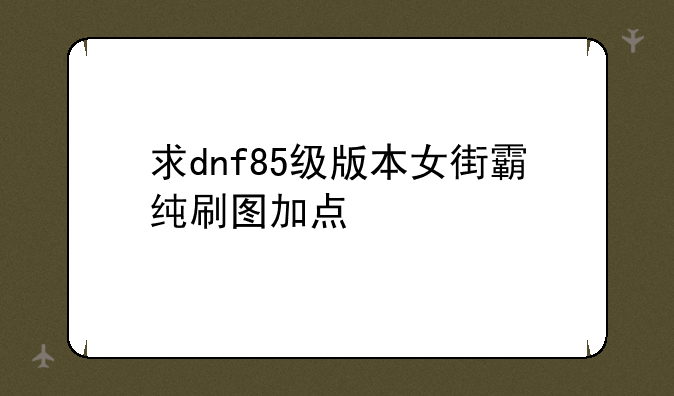 求dnf85级版本女街霸纯刷图加点