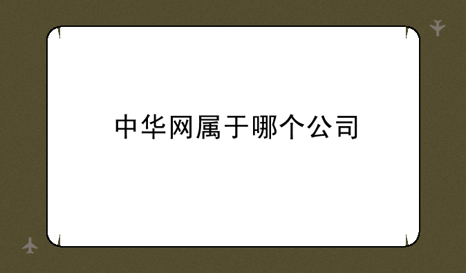 中华网属于哪个公司