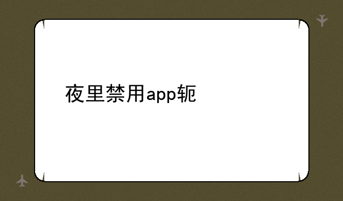 夜里禁用app软件大全