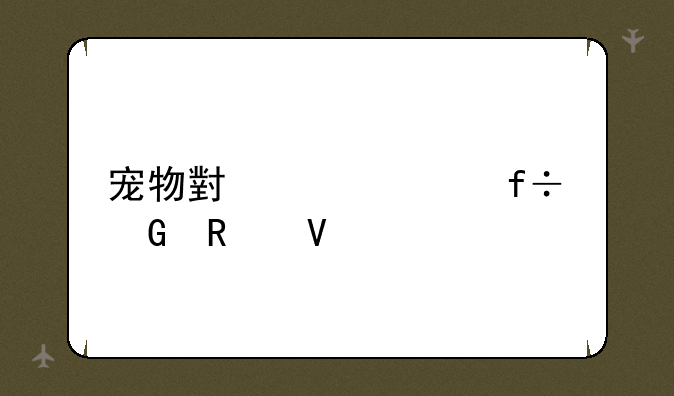 宠物小精灵白金攻略