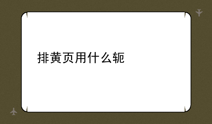 排黄页用什么软件好