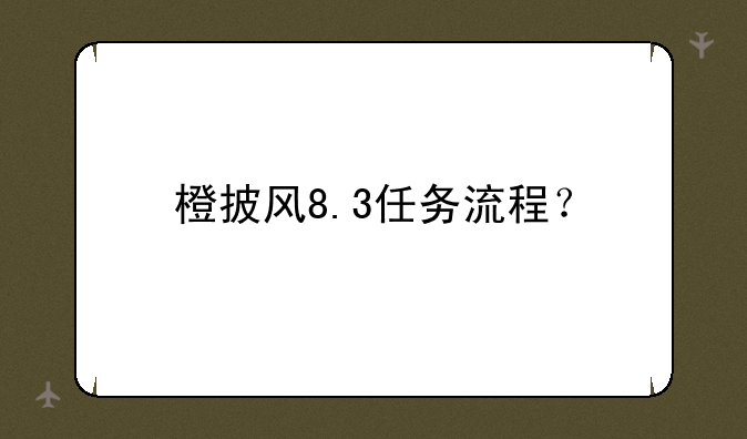 橙披风8.3任务流程？