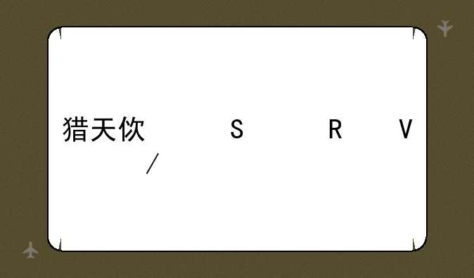 猎天使魔女攻略下载