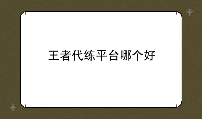 王者代练平台哪个好