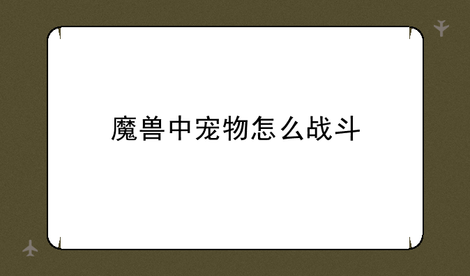 魔兽中宠物怎么战斗