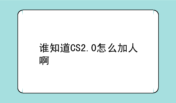 谁知道CS2.0怎么加人啊