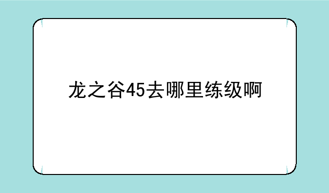 龙之谷45去哪里练级啊