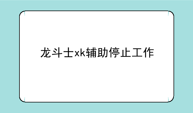 龙斗士xk辅助停止工作