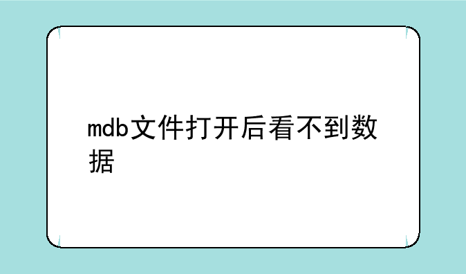 mdb文件打开后看不到数据