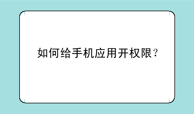 如何给手机应用开权限？