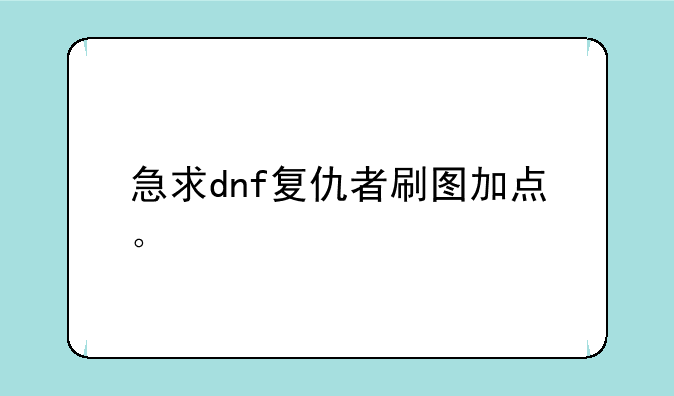 急求dnf复仇者刷图加点。