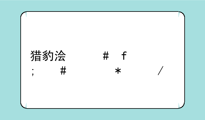猎豹浏览器怎么添加下载