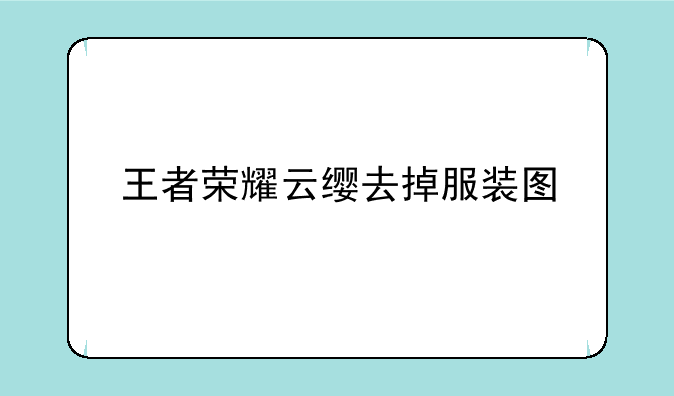 王者荣耀云缨去掉服装图